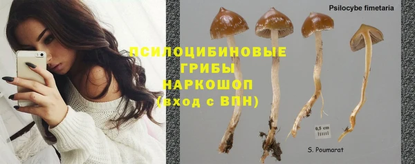 apvp Арсеньев