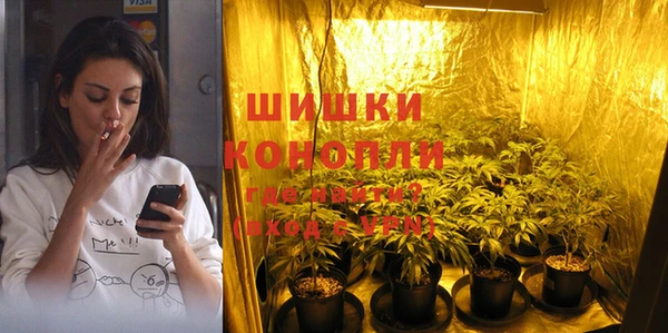 apvp Арсеньев